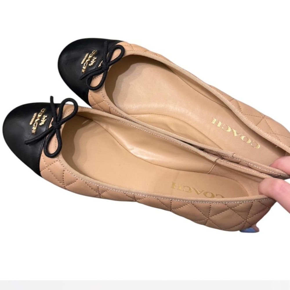 Coach Ballet Flats 9